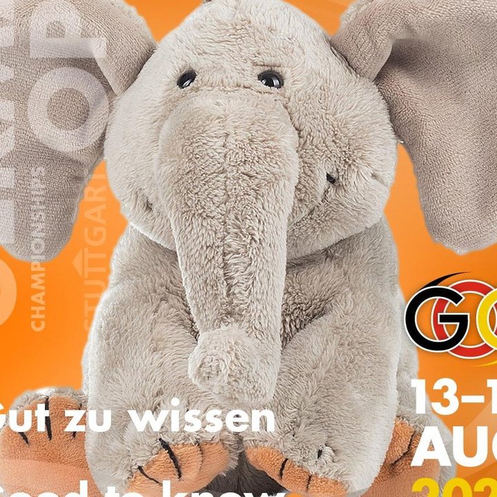 Zeitplan und Startlisten