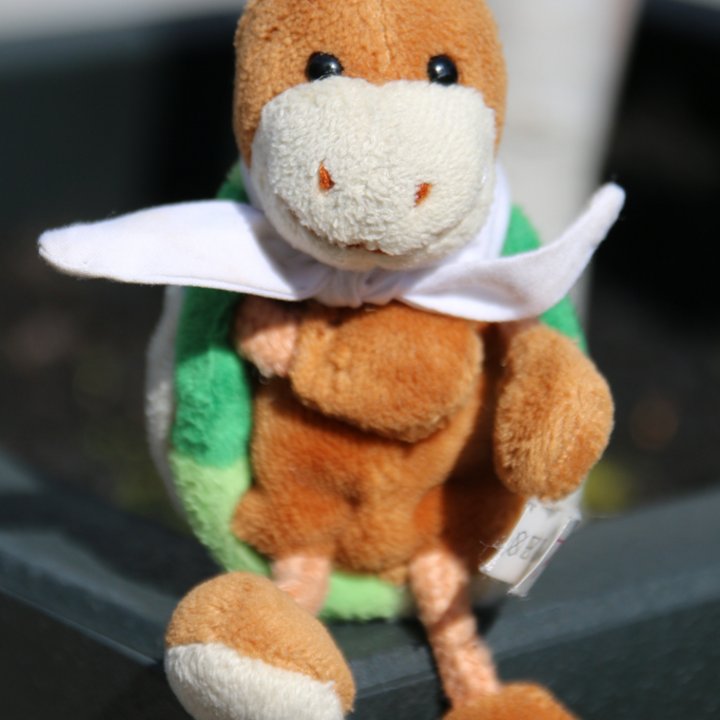 Start of the registration and ticket pre-sale postponed